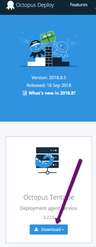 Octopus Deploy Download Screen